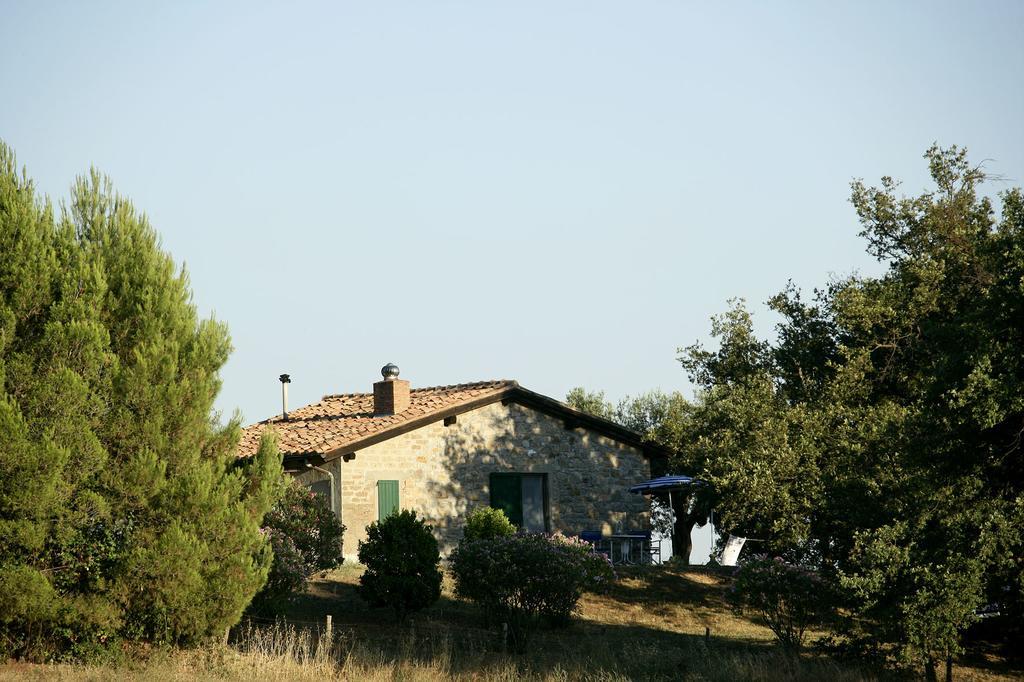Fattoria Poggio Foco Willa Manciano Pokój zdjęcie