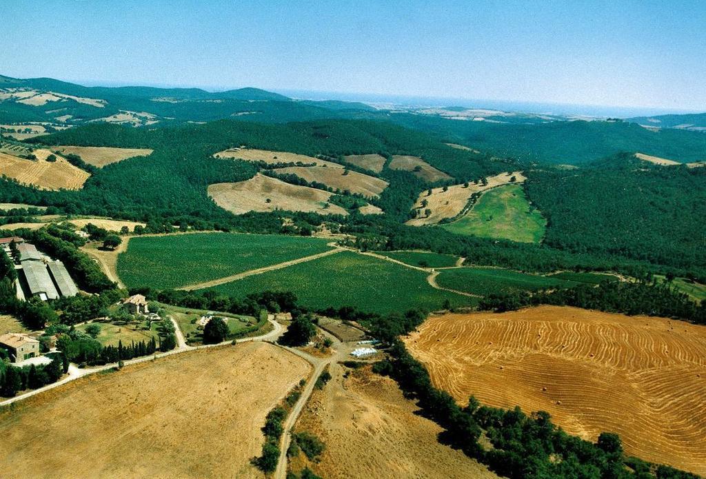 Fattoria Poggio Foco Willa Manciano Zewnętrze zdjęcie