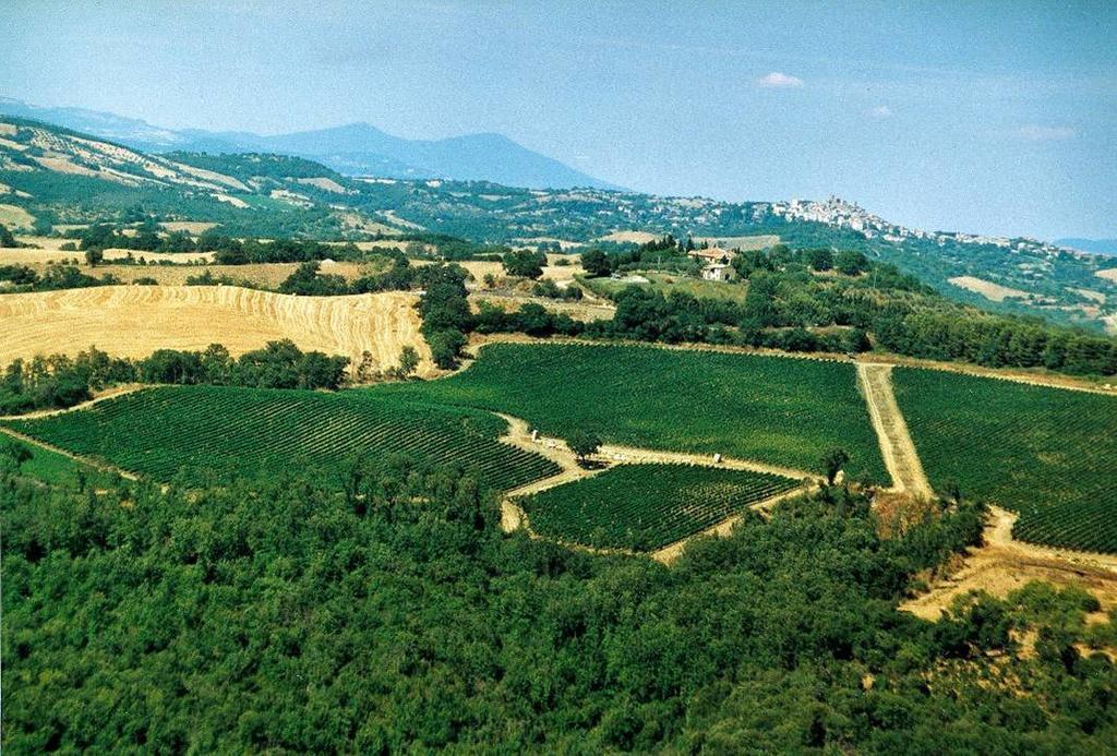 Fattoria Poggio Foco Willa Manciano Zewnętrze zdjęcie