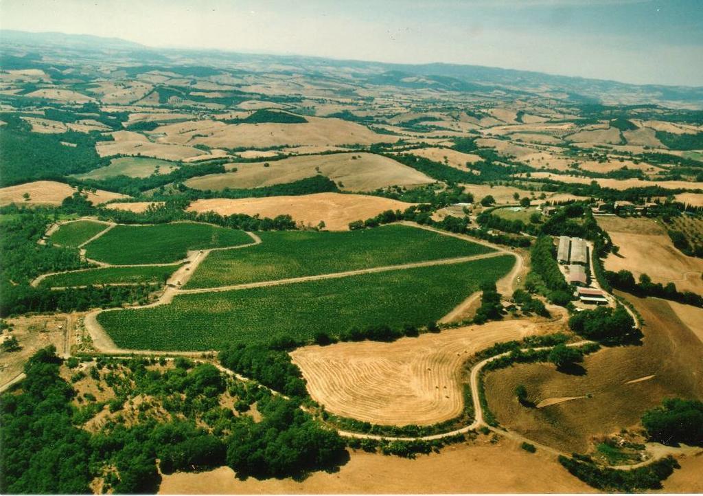 Fattoria Poggio Foco Willa Manciano Zewnętrze zdjęcie