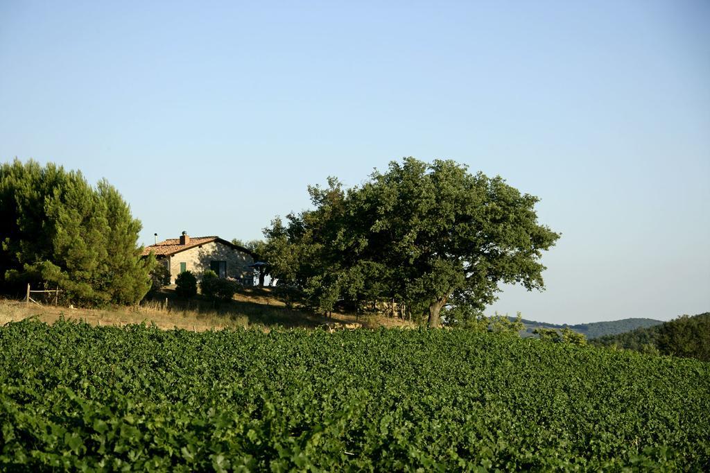 Fattoria Poggio Foco Willa Manciano Pokój zdjęcie